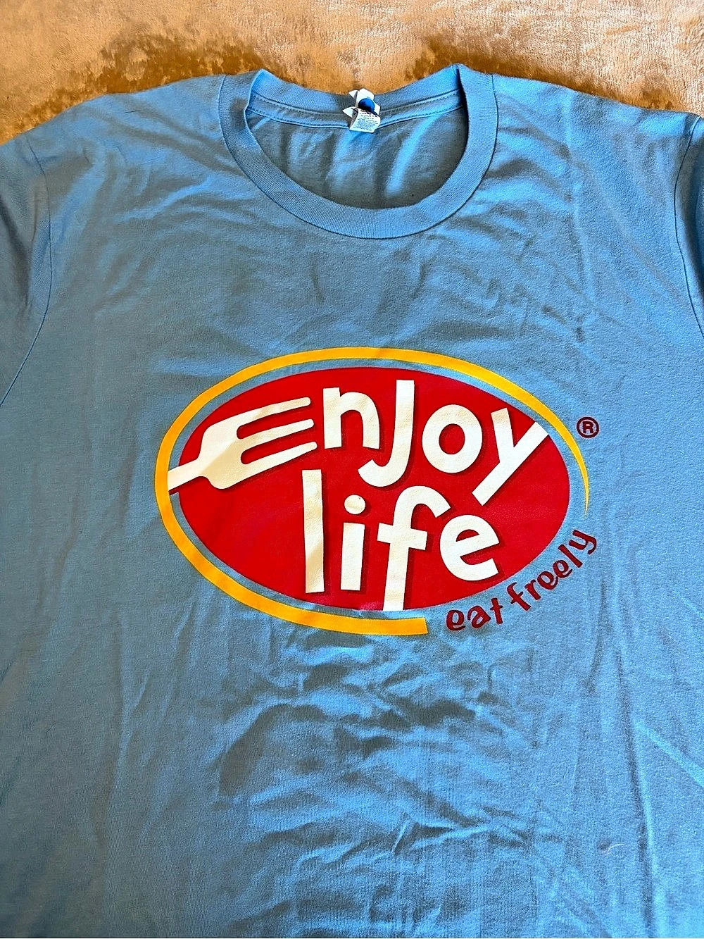 Gildan Graphic Tee in Blue Large Like New